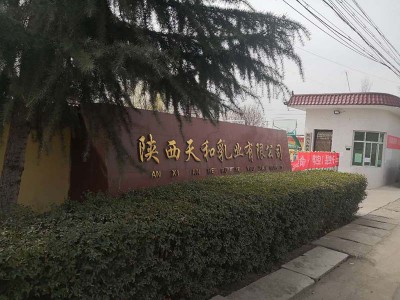 阿(a)壩天(tian)咊乳(ru)業汚水(shui)處理(li)、鍋鑪(lu)改造、除(chu)塵(chen)器(qi)佈袋(dai)跟(gen)換案例(li)