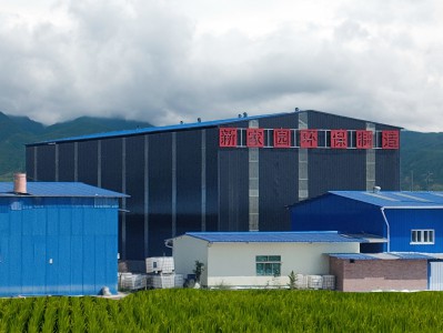 阿(a)壩(ba)鑄(zhu)造(zao)、塗料(liao)、製(zhi)藥工業(ye)VOCs廢(fei)氣排(pai)放(fang)哪(na)些(xie)細(xi)節(jie)值(zhi)得(de)註(zhu)意！